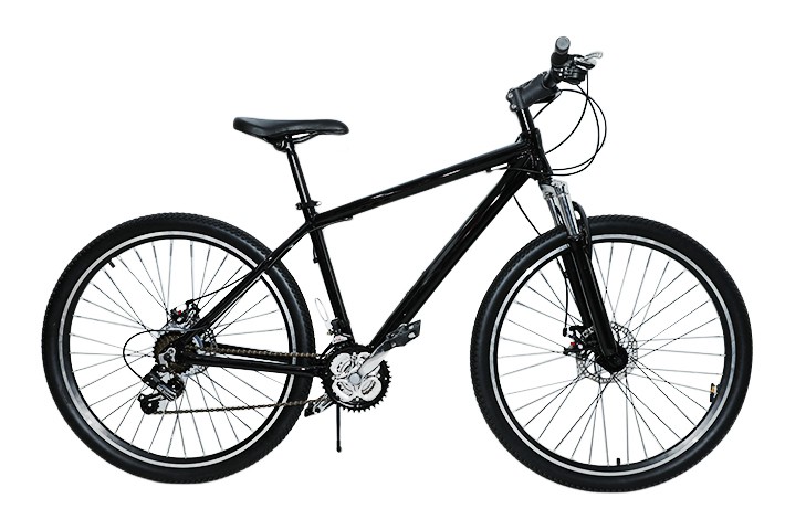 Public Electric Bike Tedarikçisi Bisiklet Bakım Becerileri